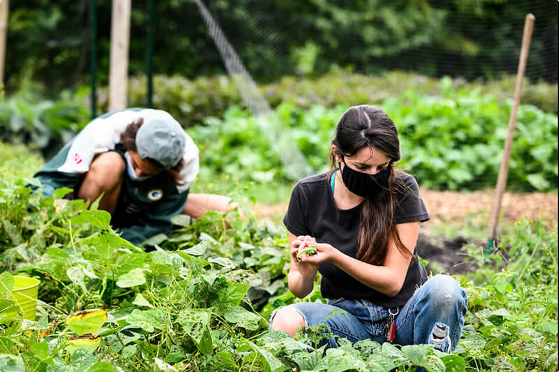 Two students wear masks while crouched on their knees working in a garden plot.