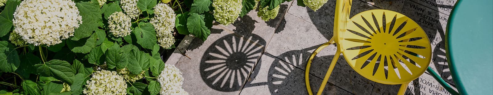 Yellow UW–Madison Terrace chair, turquoise table, and blooming hydrangeas viewed from above on a sunny day