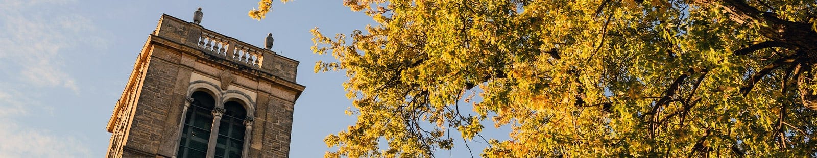 The carillon bell tower is framed by a tree with golden leaves and a blue sky in the background.