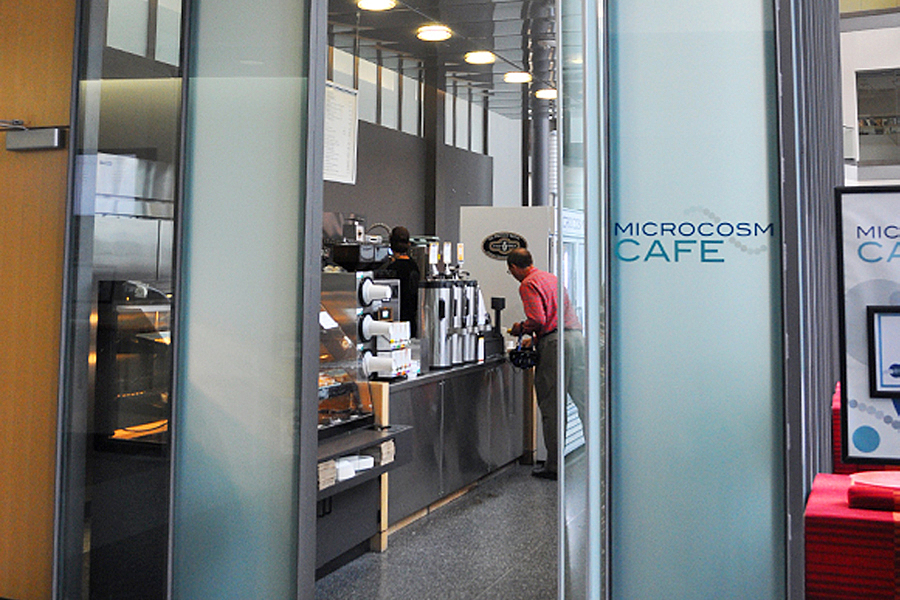 Person in background selects food from coffee bar with Microcosm Cafe logo fixed on frosted glass in foreground.