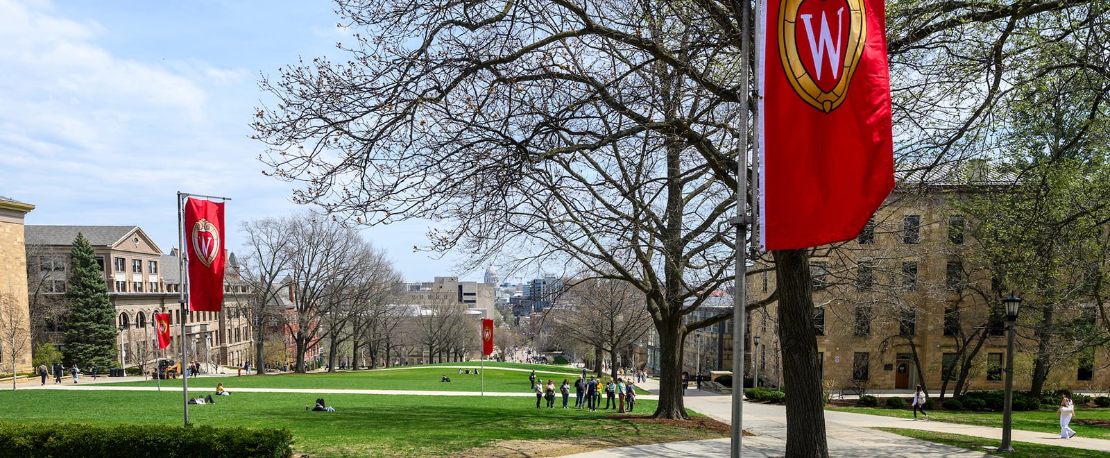 A wide view of Bascom Hill on the UW-Madison campus in spring, showing a grassy slope with scattered people, leafing trees, red flags with the UW Crest, and academic buildings lining the hill, with the capitol building in the distance.