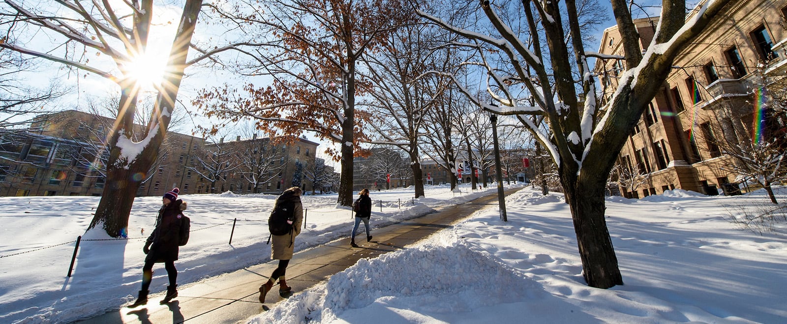 People in winter coats walk along the cleared sidewalk going up Bascom Hill, with bare trees and sunlight shining through branches on a clear winter day.
