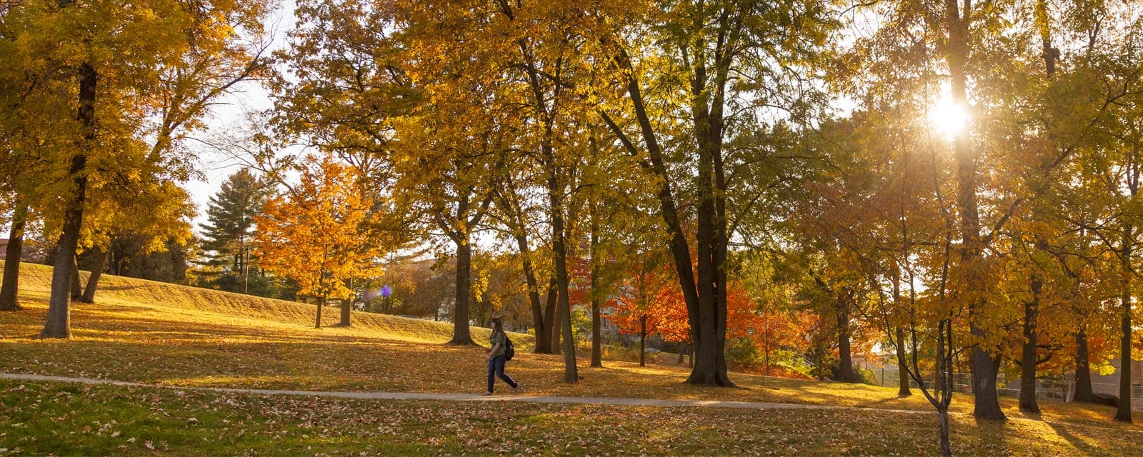 A student walking on a tree-lined path next to Observatory Drive’s scenic overlook is bathed in a spectacular display of autumn colors on a sunny day.