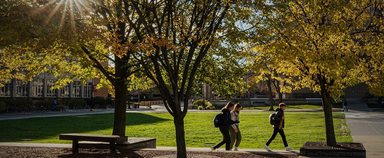 Three students walk along a campus sidewalk under trees whose leaves have turned golden with the onset of fall.