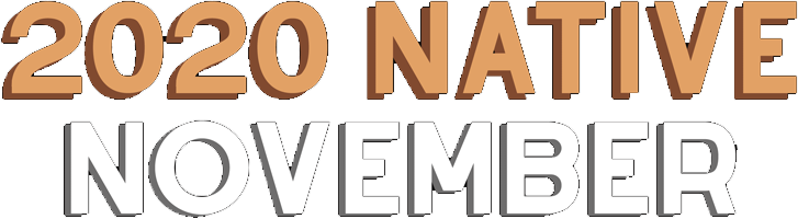 UW–Madison Celebrates Native November 2020.