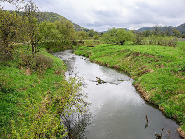 A creek flows through a lush green valley on an overcast day.