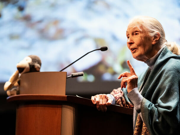 Jane Goodall, a woman with long, gray hair pulled back in a ponytail, gestures as she speaks at a podium.