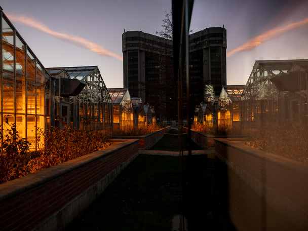 A reflection of the Walnut Street Greenhouses in glass.