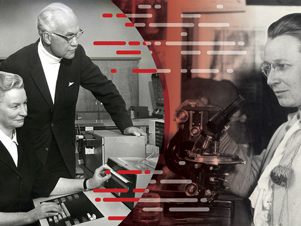 An illustrated photo collage of two greyscale photos showing women scholars at work, one in a computer lab giving instruction to a man standing behind her and the other standing alone in front of a microscope.