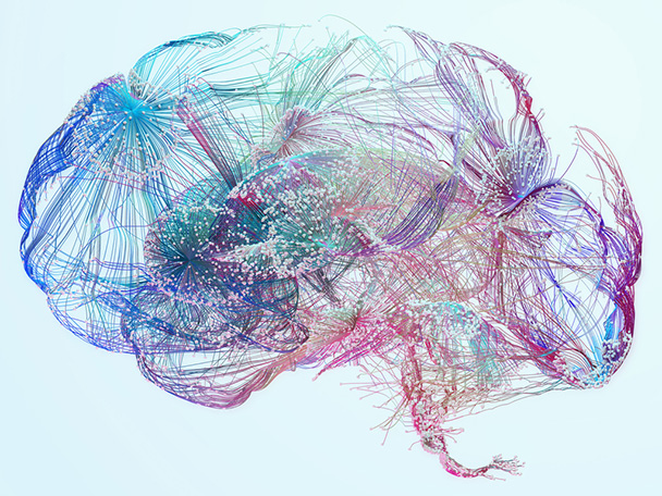 Colorful rendering showing neural pathways in a human brain.