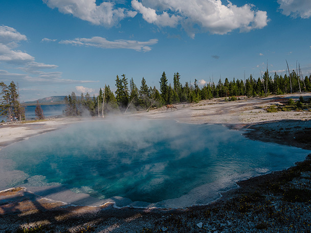 The West Thumb Geyser Basin in Yellowstone National Park.