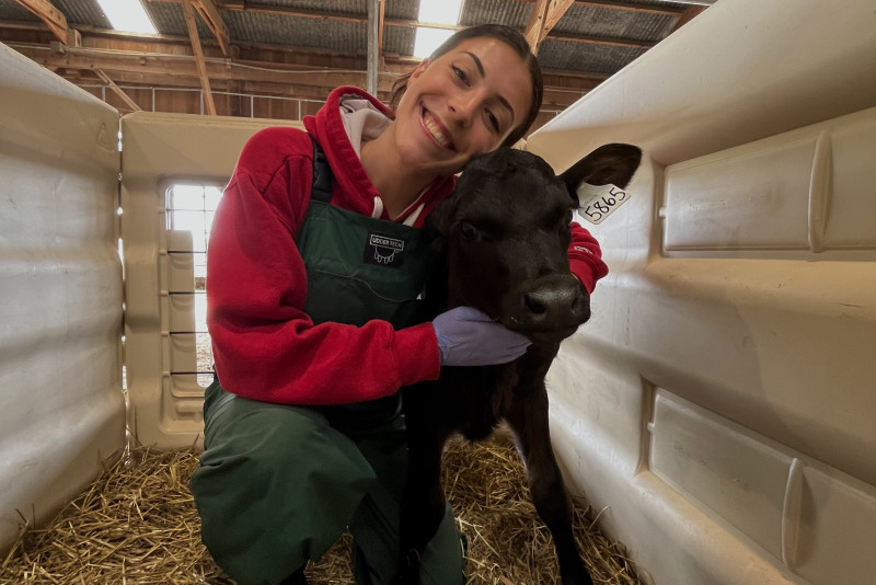 Lauren Jacobs hugs a black calf in a barn.