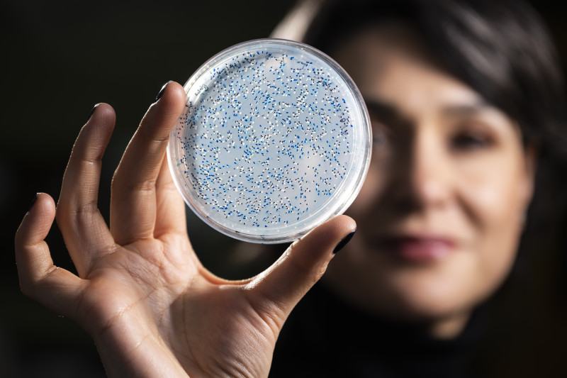 A woman's face appears out of focus as she holds up a petri dish filled with colorful blue specks.