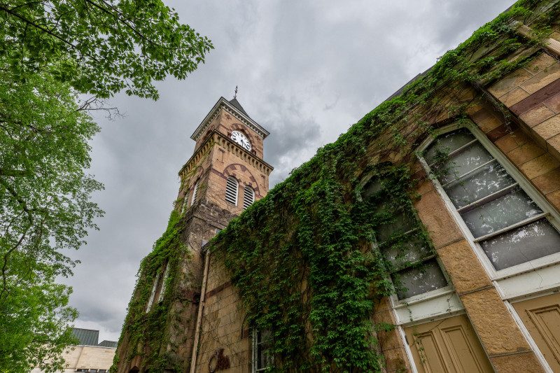 Looking up at Music Hall clock tower, with ivy wrapping the building.