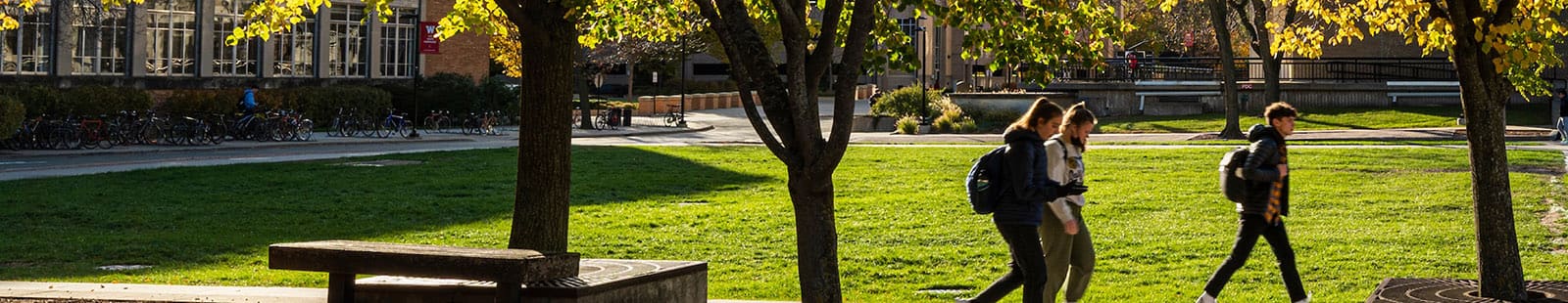 Three students cross campus in the shadow of green trees and with a bright green lawn in view.