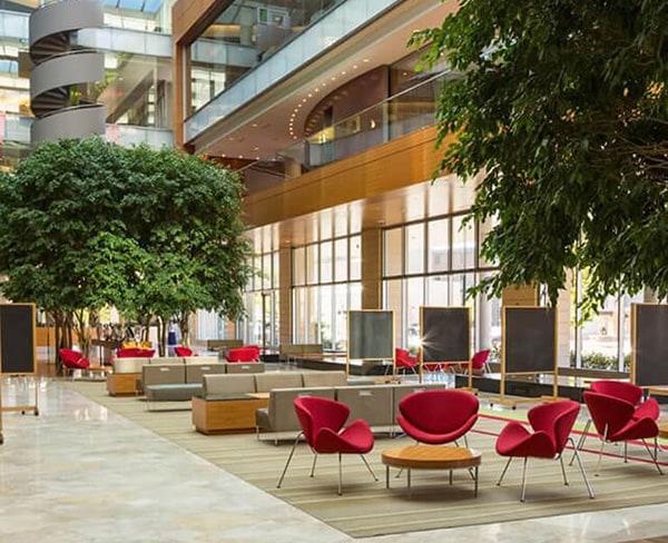 Chairs and indoor trees sit in the lobby at the Wisconsin Institutes for Discovery