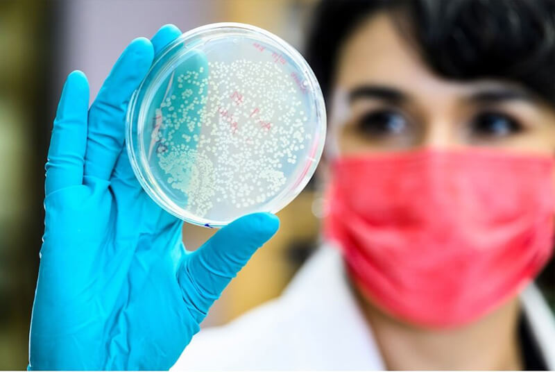 A researcher studies a petri dish she is holding up to the light.